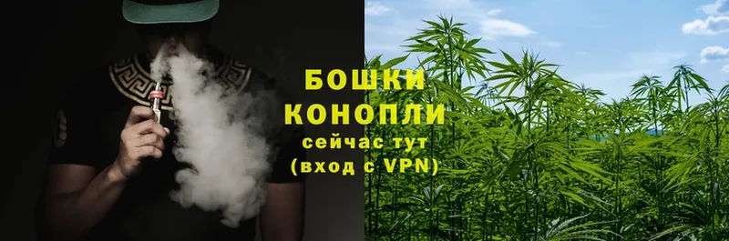 Бошки Шишки LSD WEED  Берёзовка 